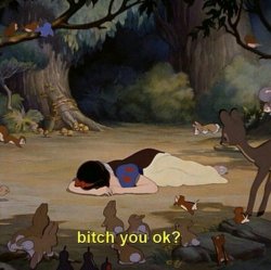 Snow White bitch you okay? Meme Template