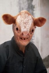 cow man Meme Template