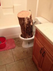 Log in toilet  Meme Template