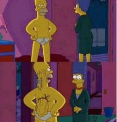 Homer's Back Fat Meme Template