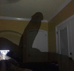 I still see your shadows in my room Meme Template