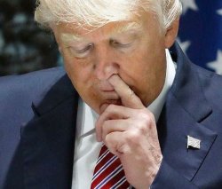 Trump picks nose Meme Template