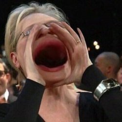 Meryl Streep Meme Template