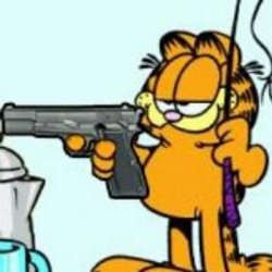 Garfield about to kill your ass Meme Template