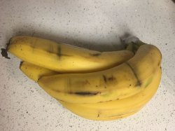 Bruised Bananas Meme Template