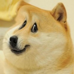Nervous Smile Doge Meme Template