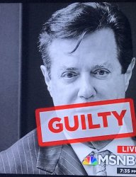 Paul Manafort Guilty  Meme Template