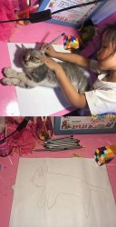 Girl tracing cat Meme Template