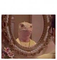 LIZARD REPTILIAN IN THE MIRROR Meme Template