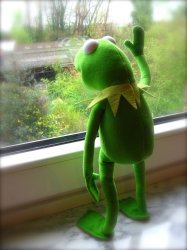 Kermit - Out the window - waiting Meme Template