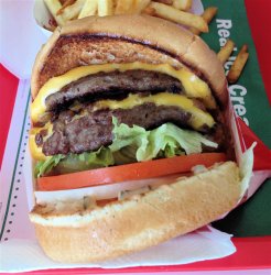 In n out Meme Template