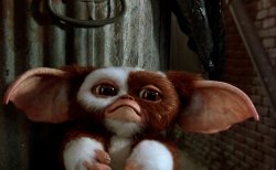 Sad Gizmo Meme Template