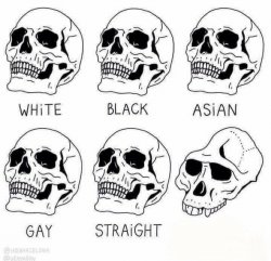 Degenerate Skulls Meme Template