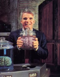 Steve Martin - Man With Two Brains Meme Template