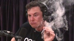Elon Musk Weed 2 Meme Template