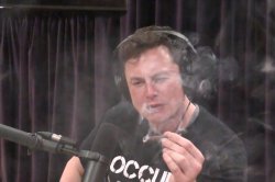 Smoking Elon Meme Template