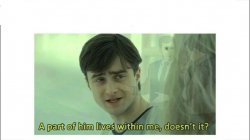 Harry Potter a part of him lives with me Meme Template