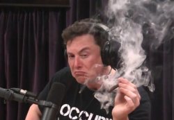 Elon Musk Smoking Weed Meme Template