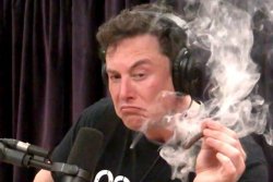 Elon musk blunt weed Meme Template
