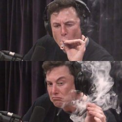 Elon Musk Weed Meme Template