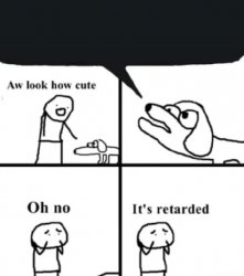 Oh no, it's retarded (insert comment edition) Meme Template