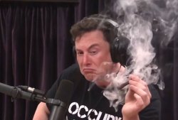 Elon Musk smokes a joint and looks at it Meme Template