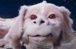 neverending story falcor Meme Template