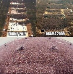 Crowds Meme Template