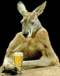 kangroo-beer Meme Template