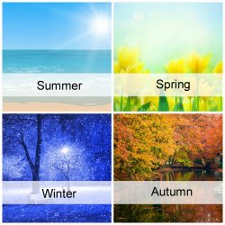 The 4 Seasons Meme Template