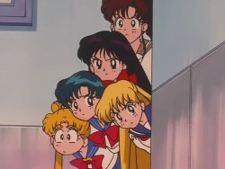 sailor moon the sailor Scouts Meme Template