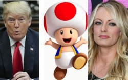 Trump Mushroom Meme Template