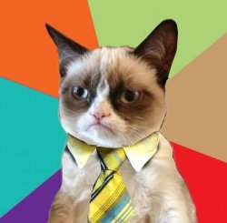 Grumpy Business Cat Meme Template