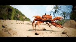 Crab rave gif Meme Template