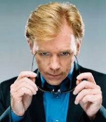 horatio caine Meme Template