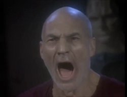 Picard Four Lights Meme Template