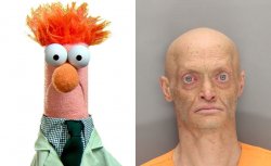 Beaker before and after Meme Template