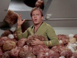 Star Trek Kirk Tribbles Meme Template