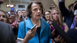 Feeble & Corrupt Senator Feinstein Meme Template