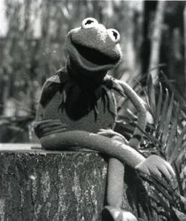 Kermit Vintage Photo Meme Template