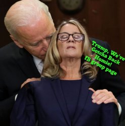 Joe Biden Holds Christine Blasey Ford Meme Template