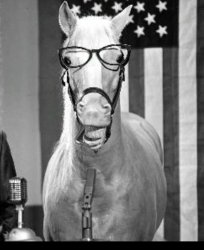 Mr Ed Meme Template