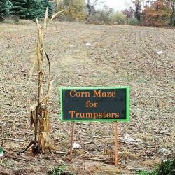 Trumpster Corn Maze Meme Template