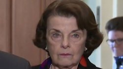 Feinstein Crying Meme Template