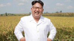 North_Korea_field Meme Template