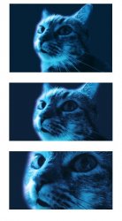 Blue Cat is Judging You Meme Template