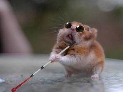 Hamster ciego Meme Template