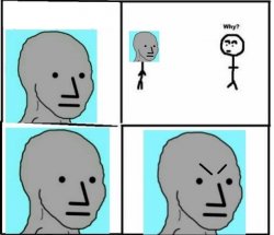 NPC why Meme Template