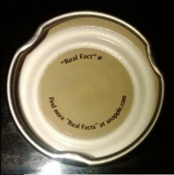 Snapple facts Meme Template