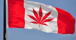 Canadajuana Flag Meme Template